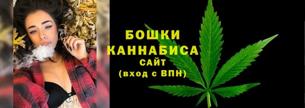 ПСИЛОЦИБИНОВЫЕ ГРИБЫ Вяземский