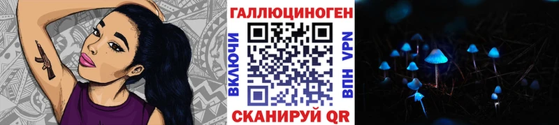 Галлюциногенные грибы Cubensis  Гвардейск 